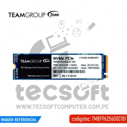 DISCO SSD TEAMGROUP MP33...